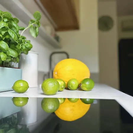 Perla Juraty דירה יוראטה