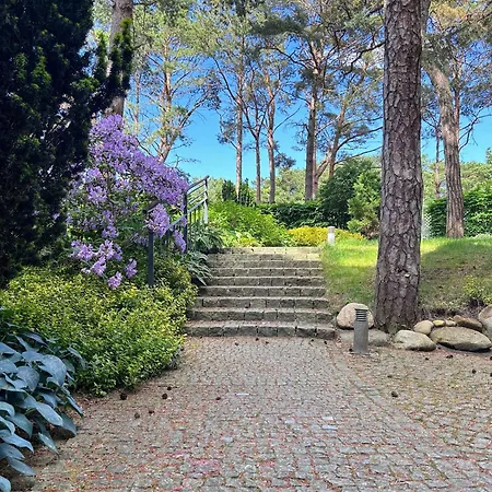 Perla Juraty יוראטה